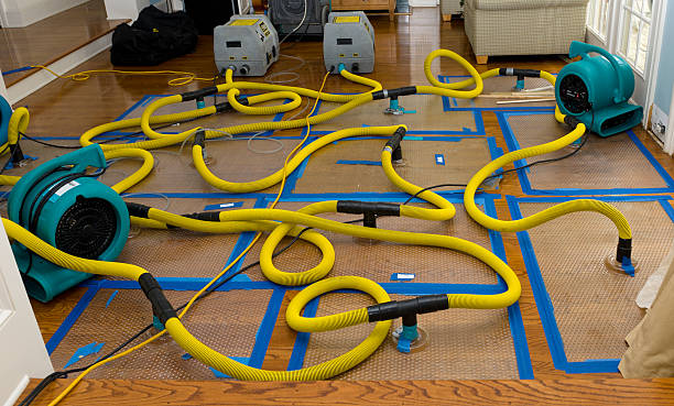 Professional Water Extraction technician working in South Lyon, MI
