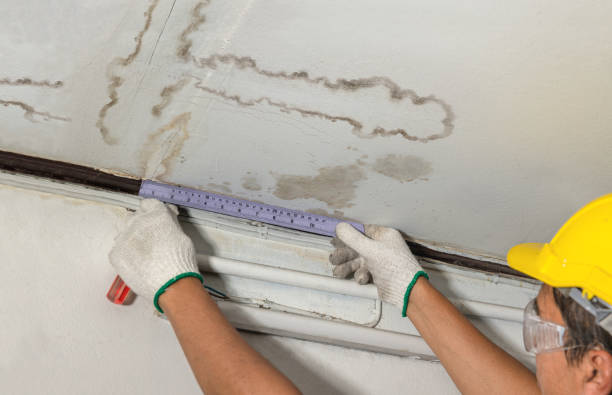 Affordable Water Damage Repair solutions in South Lyon, MI